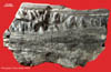 Ichthosaur Jaw  (ich-8-131)